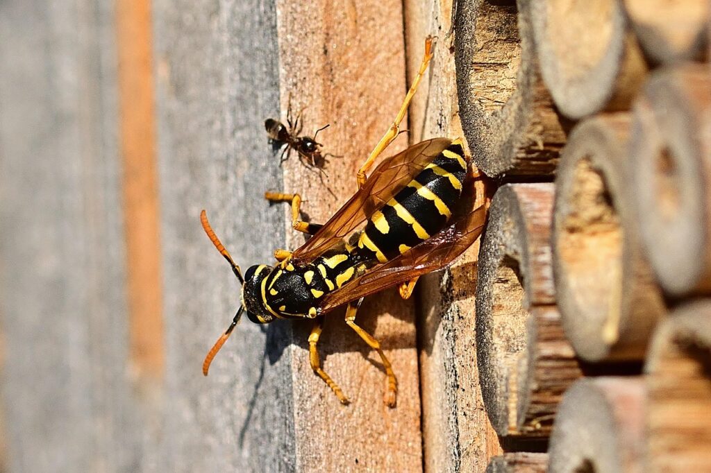 相続に関する空き家売却でよくあるトラブルとは？