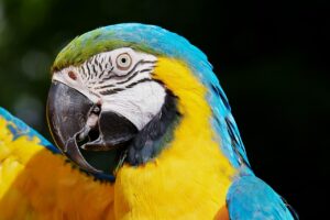 空き家の相続に税理士は必要なのか？