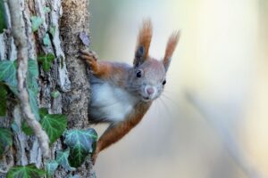 空き家の現状を考慮した渡しは可能？