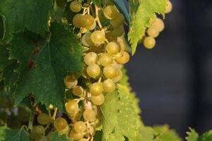 相続した空き家を仲介で売却する際の注意点は？
