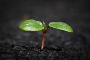 相続で空き家が安くなる理由とは？