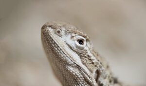相続した空き家の相談先はどこが最適？